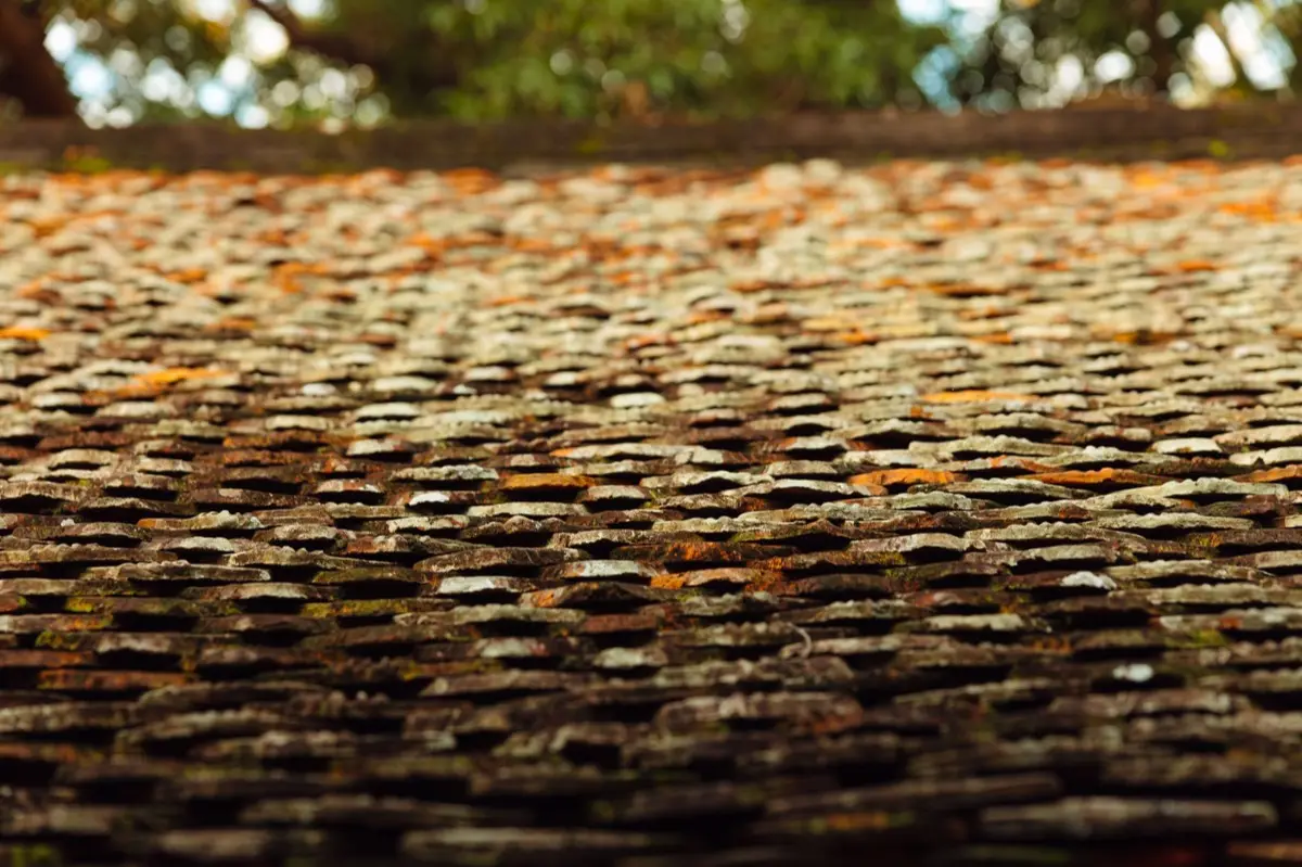 Roof Coatings and Sealing in Auburn, AL